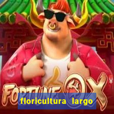 floricultura largo do japones vila nova cachoeirinha